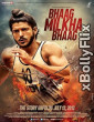 Bhaag Milkha Bhaag 2013 Bollywood Old Hindi Movie Download