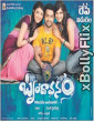 Brindavanam (The Super Khiladi) 2010 South Indian Hindi Dubbed Movie Download