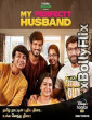 My Perfectt Husband (2024) S01 Hindi Web Series Download