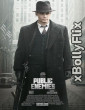 Public Enemies 2009 Dual Audio (ORG) Hollywood Hindi Dubbed Movie Download