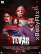 Tevar (2019) Urdu Web Series Download