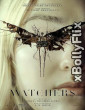 The Watchers (2024) Hollywood English Movie Download 