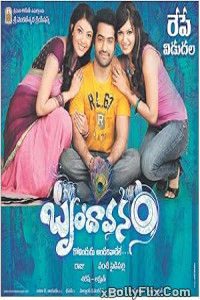 Brindavanam (The Super Khiladi) 2010 South Indian Hindi Dubbed Movie Download