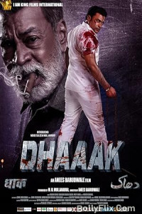 Dhaaak (2024) Bollywood Hindi Movie Download