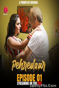 Pehredaar (2022) S01 Hindi Web Series Download