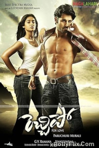 Rechipo (2009) South Indian Hindi Dubbed Movie Download