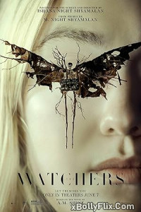 The Watchers (2024) Hollywood English Movie Download 